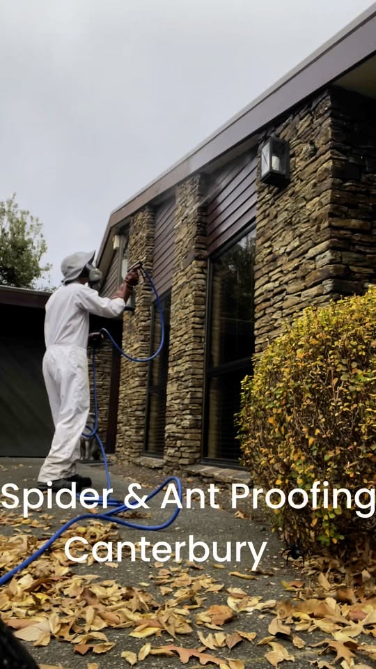 Mike The Spiderman technician in a white protective suit spraying a stone house exterior in Canterbury for spider and ant proofing